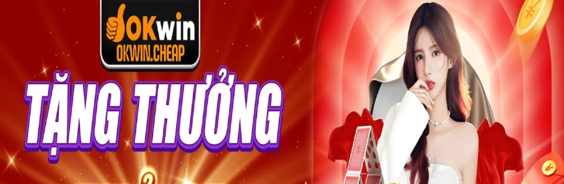 OKWIN cheap Cover Image