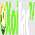 xoilactvnvncc die web Profile Picture