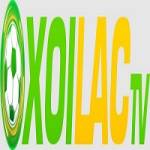 jacobwolf report Profile Picture