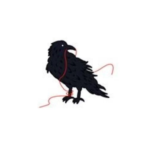 blackbird knitting Profile Picture