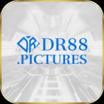 DR88 PICTURES Profile Picture