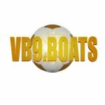 Vb9 Profile Picture