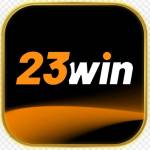 23Win Software Profile Picture