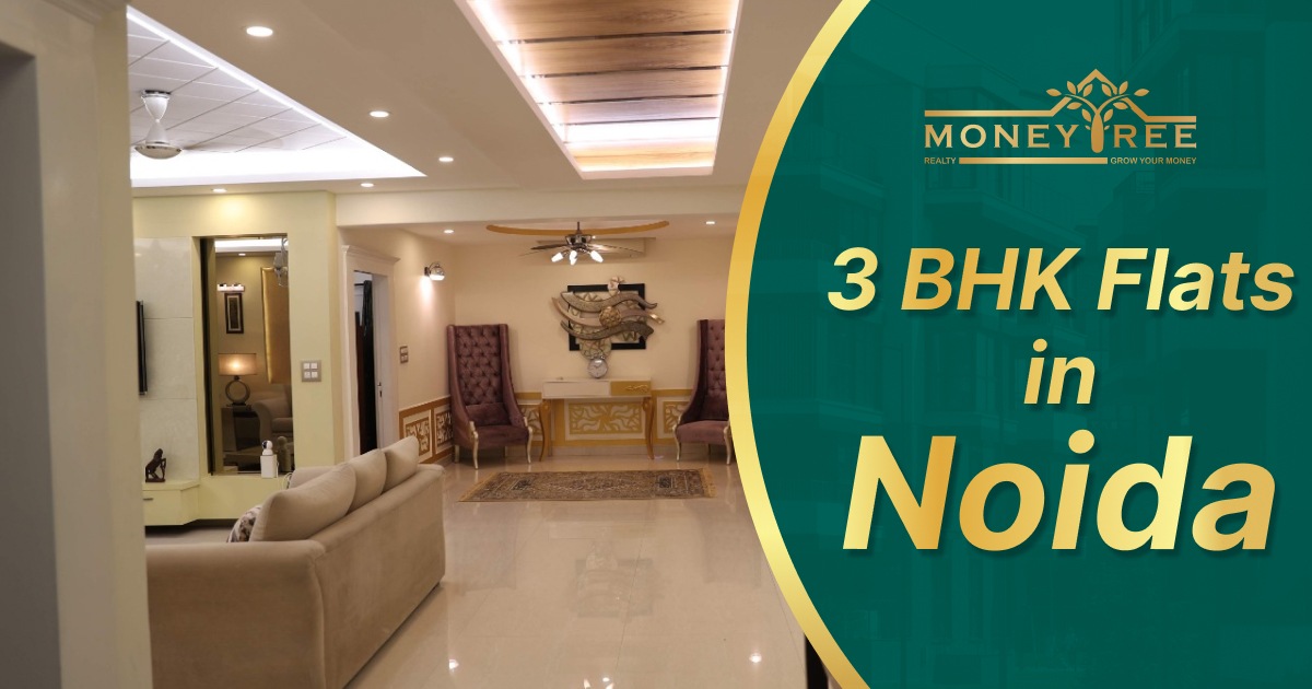 3 BHK Flats in Noida, Flats for Sale in Noida