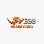 sv388y org Profile Picture