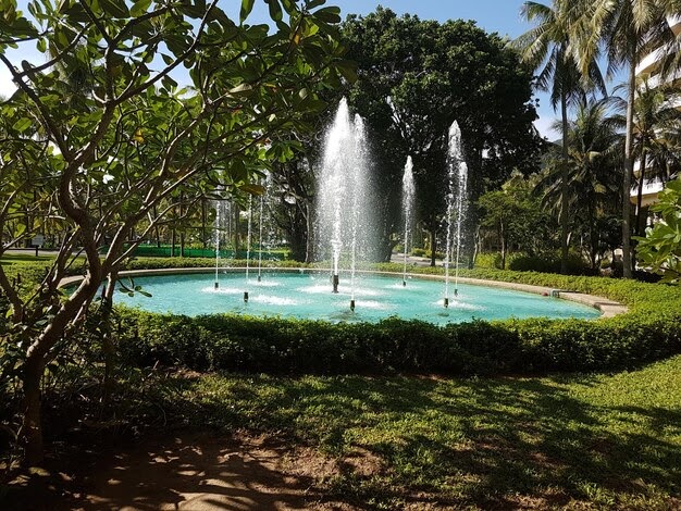 How to Choose the Right Water Fountain Manufacturer for Your Business or Home
