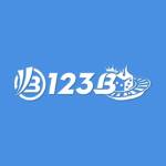 123b2 org Profile Picture