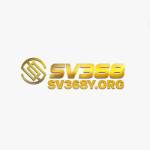 sv368y org Profile Picture