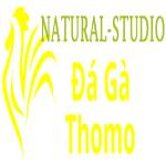 Đá Gà Trực Tiếp Thomo Profile Picture