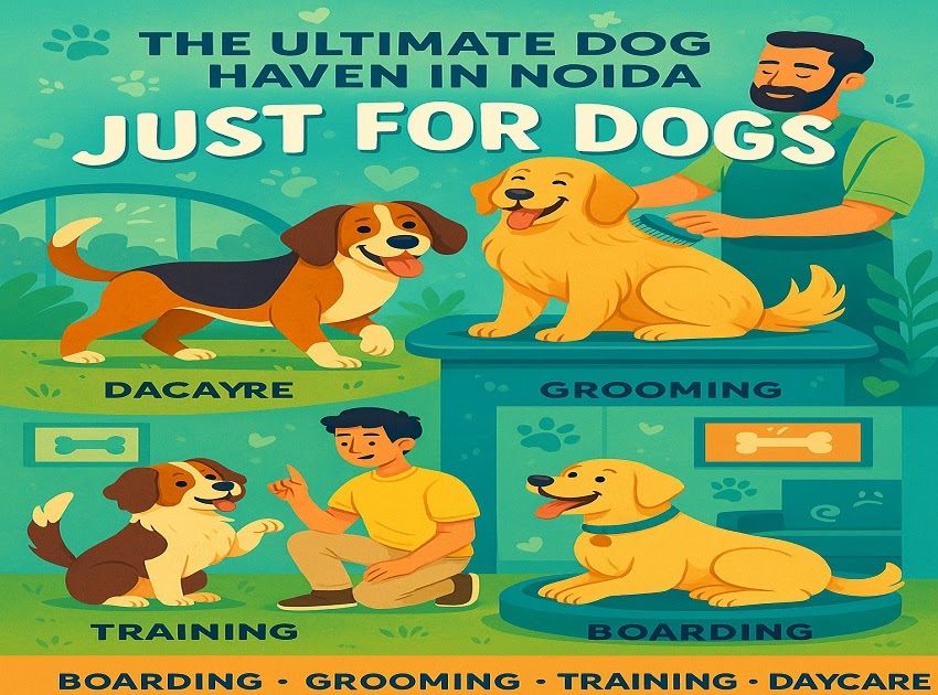The Ultimate Dog Haven in Noida: Just for Dogs