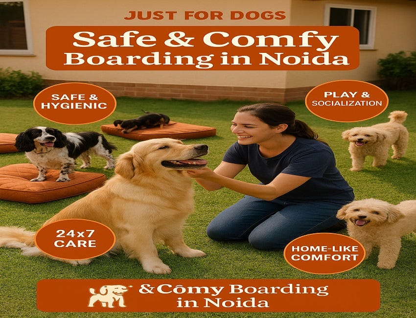 Just for Dogs: Safe & Comfy Boarding for Your Dog. | by Just for Dogs | Jun, 2025 | Medium