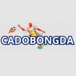 Trang Cá Độ Bóng Đá Trực Tiếp Profile Picture