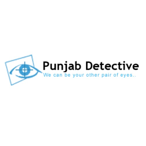 Punjab Detective Profile Picture