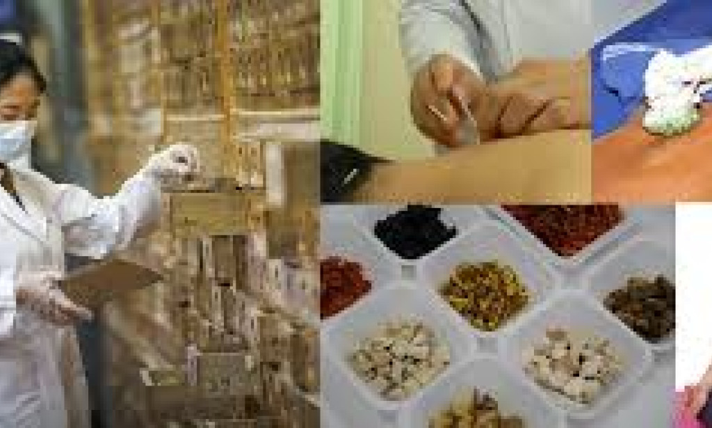 How Alternative Therapies Complement Traditional Treatments