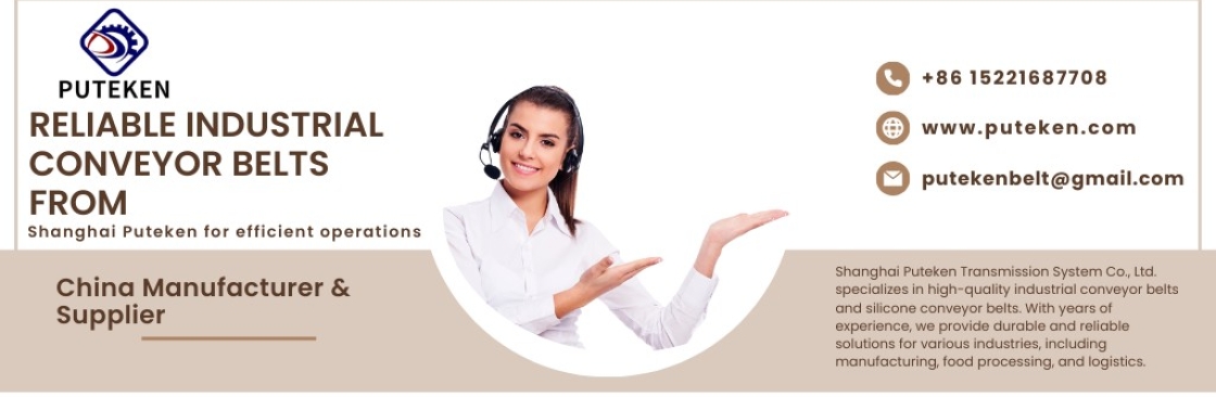 Shanghai Puteken Transmission System Co Ltd Cover Image