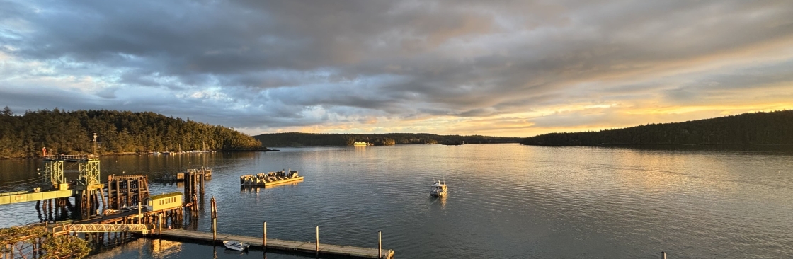The Landing At Orcas Cover Image