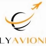 flyavionic Profile Picture
