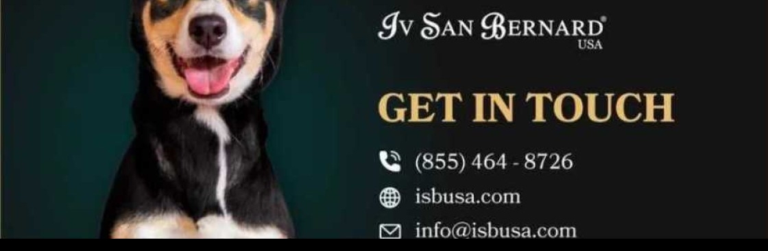 Iv San Bernard USA Cover Image