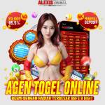 Agen Alexistogel Profile Picture