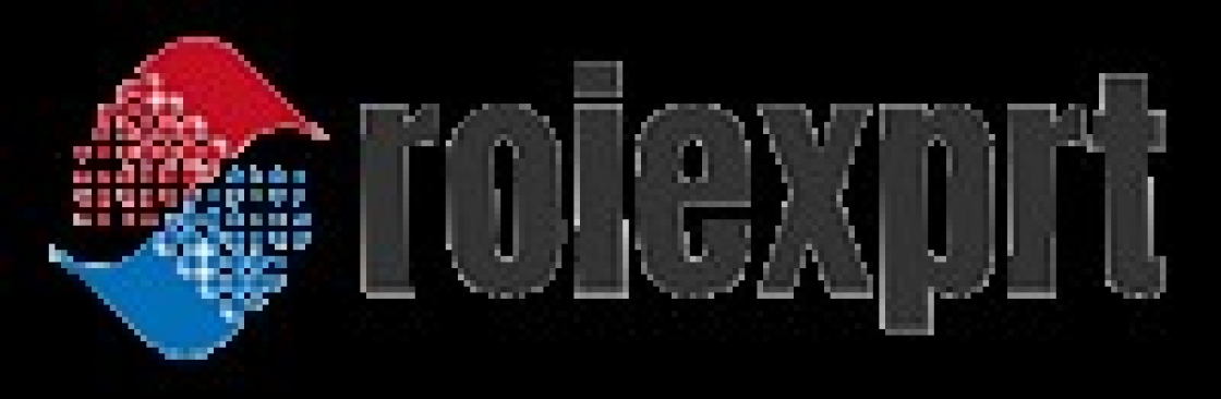 ROI EXPERT Cover Image