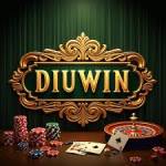 diu win Profile Picture