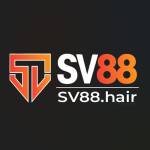 SV88 Profile Picture