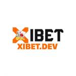 xibet dev Profile Picture