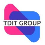 The TDIT Group Profile Picture