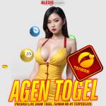 Alexistogel Agen Profile Picture