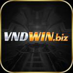 vndwinbiz vndwinbiz Profile Picture