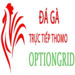 Đá Gà Trực Tiếp Thomo Profile Picture