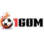 1gom news Profile Picture