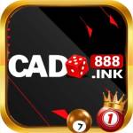 Cado888 ink Profile Picture