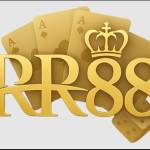 rr88u sorg Profile Picture