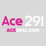 Ace 291 Profile Picture