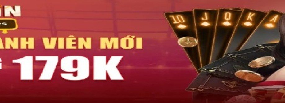 VSWIN codes Cover Image