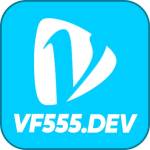 VF555 dev Profile Picture
