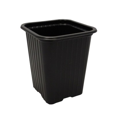 Godet en P Profile Picture
