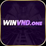 winvndone Profile Picture