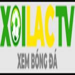 agil8 com thao túng kết quả tìm kiếm Profile Picture