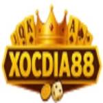 Xocdia88 ltd Profile Picture