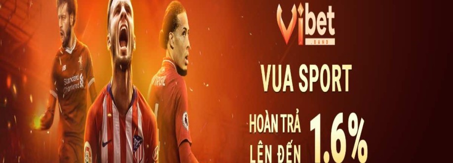 Vibet Cover Image