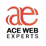 Ace Web Experts Profile Picture