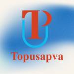 Topusapva SEO services profile picture