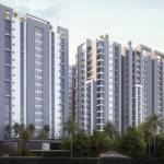 Lead Marketing Profile Picture