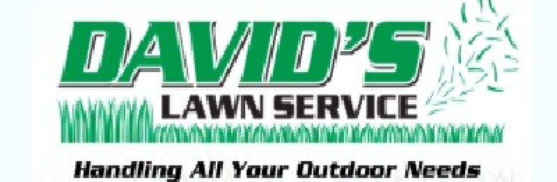 davidslawn Cover Image