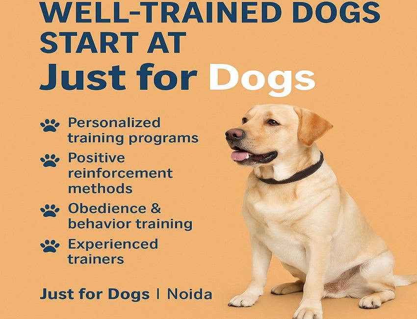 Well-trained dogs start at Just for Dogs. | by Just for Dogs | Jul, 2025 | Medium