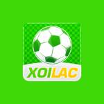 Xôi Lạc Profile Picture
