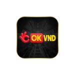 OKVND US Profile Picture