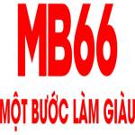 mb66 law Profile Picture